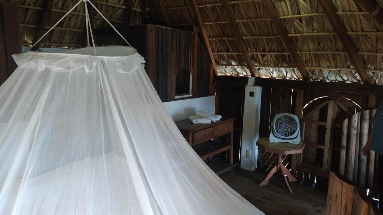 Shambhala Vision Hotel Zipolite Ngoại thất bức ảnh