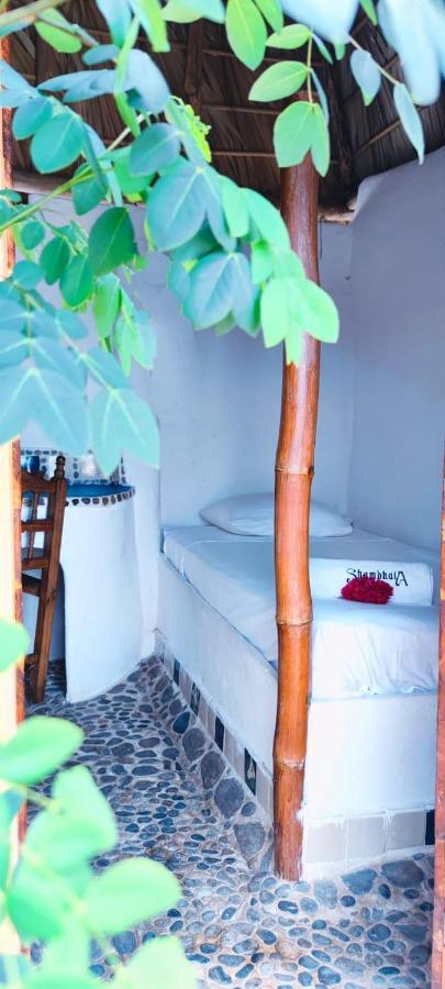 Shambhala Vision Hotel Zipolite Ngoại thất bức ảnh